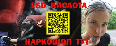 дживик Камышлов
