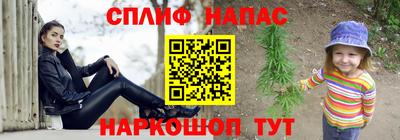дживик Камышлов