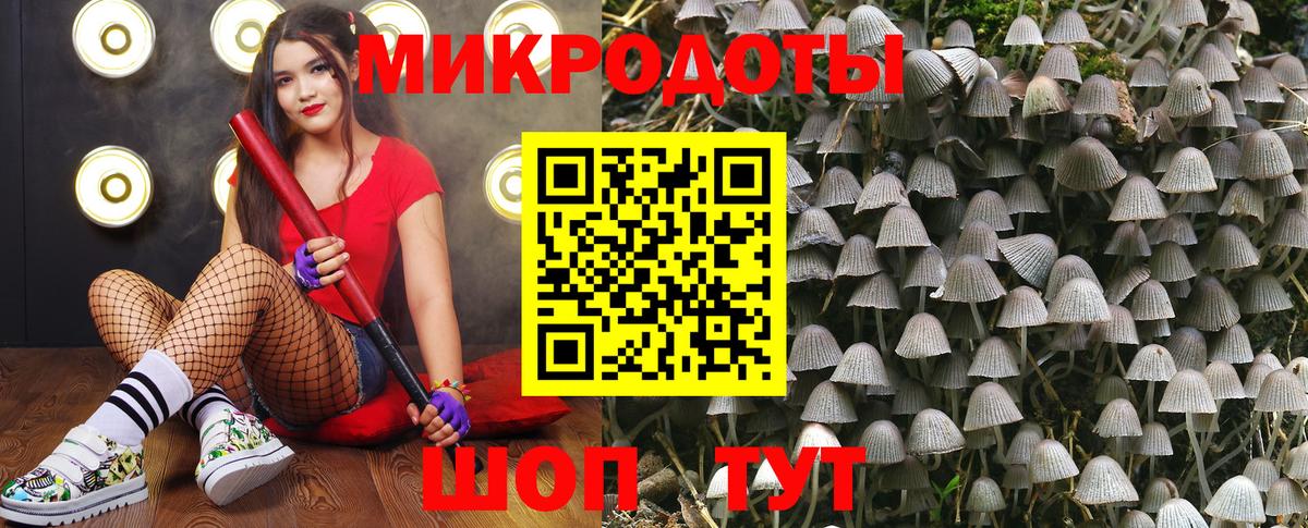 Псилоцибиновые грибы Cubensis  Вход с VPN  Аксай 